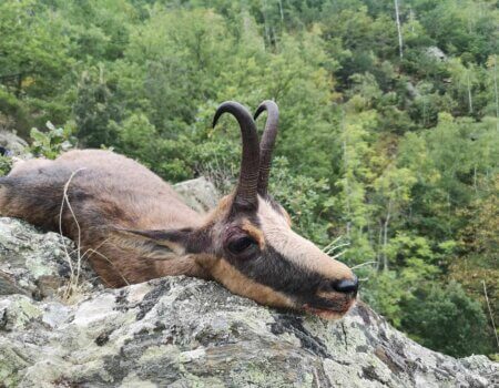 wta_2130_WhatsApp Image 2022-06-24 at 8.51.45 AM