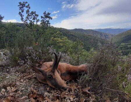 wta_2130_WhatsApp Image 2022-06-24 at 8.52.50 AM (3)