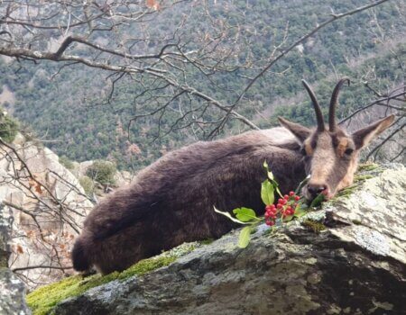 wta_2130_WhatsApp Image 2022-06-24 at 8.52.50 AM (4)