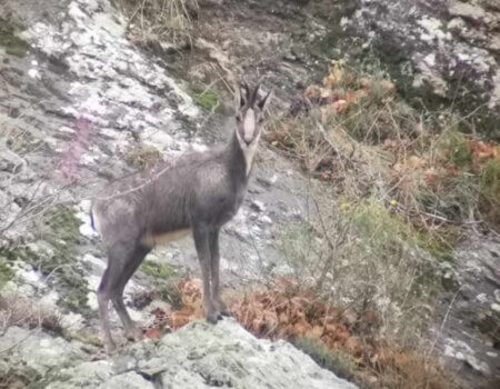 wta_2130_WhatsApp Image 2022-06-24 at 8.52.50 AM