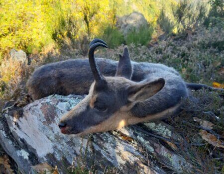 wta_2130_WhatsApp Image 2022-06-24 at 8.52.50 AM (6)