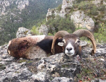 wta_2130_WhatsApp Image 2022-06-24 at 8.58.39 AM