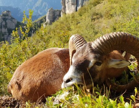 wta_2130_WhatsApp Image 2022-06-24 at 8.59.16 AM