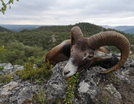 wta_2130_WhatsApp Image 2022-06-24 at 8.59.21 AM