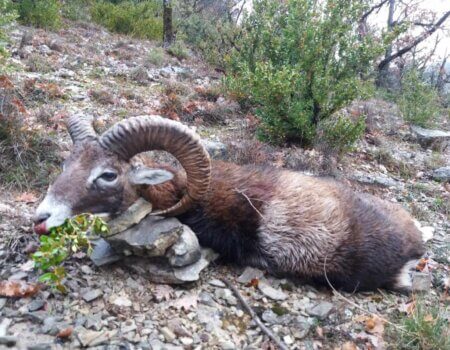 wta_2130_WhatsApp Image 2022-06-24 at 8.59.23 AM