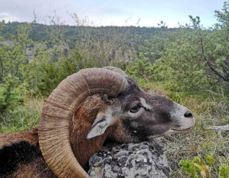 wta_2130_WhatsApp Image 2022-06-24 at 8.59.24 AM