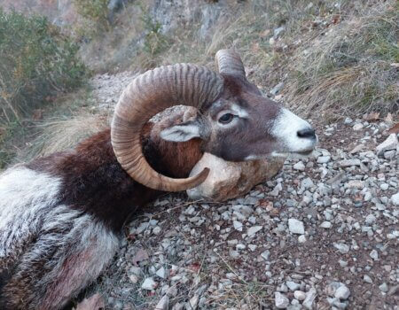 wta_2130_WhatsApp Image 2022-06-24 at 8.59.38 AM