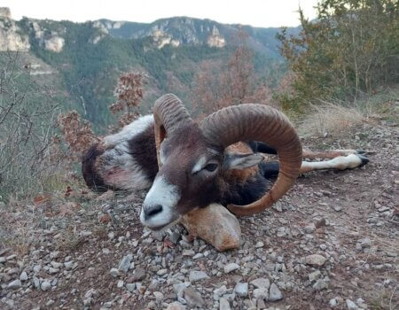 wta_2130_WhatsApp Image 2022-06-24 at 8.59.44 AM