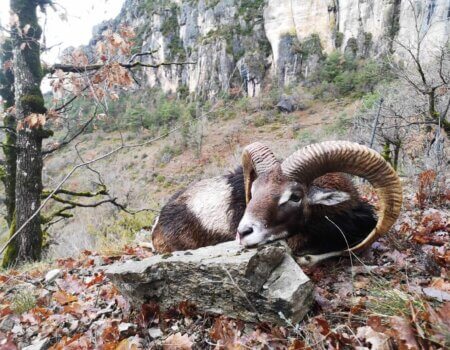 wta_2130_WhatsApp Image 2022-06-24 at 8.59.46 AM