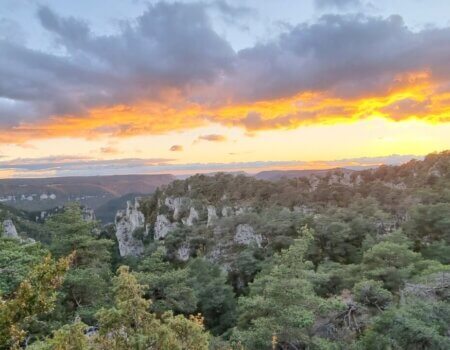 wta_2130_WhatsApp Image 2022-06-24 at 9.02.23 AM