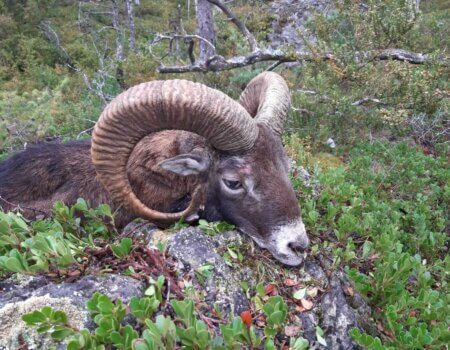 wta_2130_WhatsApp Image 2022-06-24 at 9.02.24 AM (1)