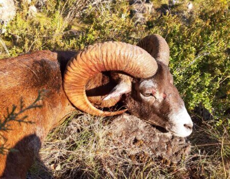 wta_2130_WhatsApp Image 2022-06-24 at 9.02.24 AM