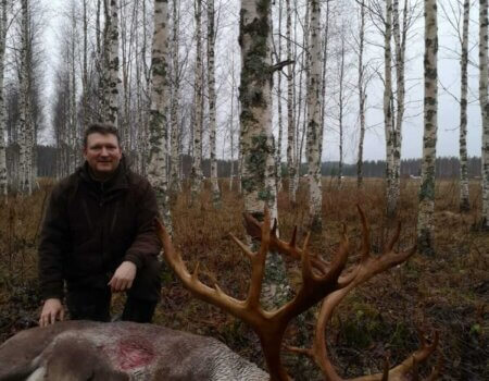 wta_2134_raindeer1