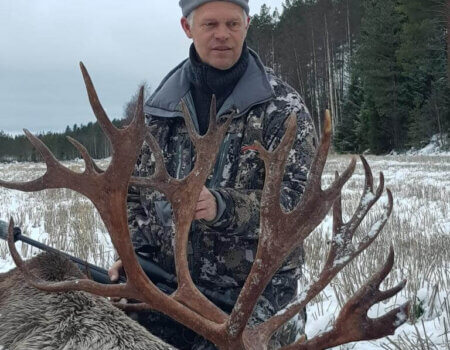 wta_2134_raindeer2