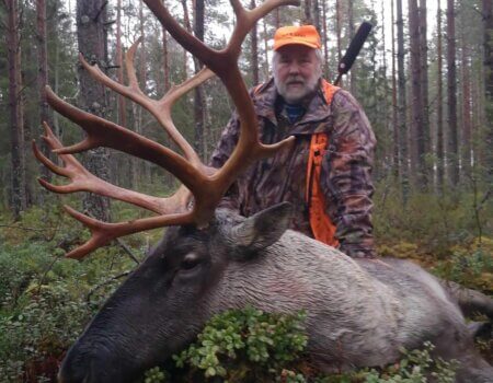 wta_2134_raindeer3