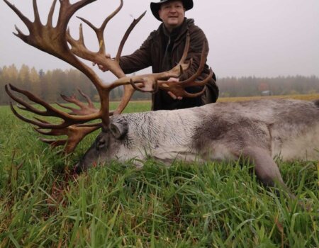 wta_2134_raindeer4