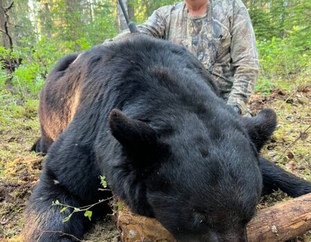 wta_2092_IMG-6031 (3)