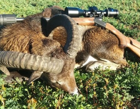 wta_2130_0df3d554-3bc9-4df2-a122-73167630020d