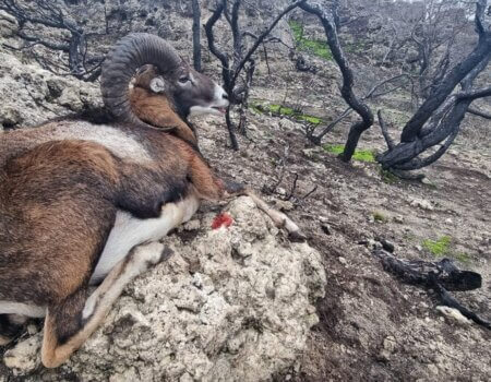 wta_2130_16894e4a-c56d-4237-ad7e-ebd6cb9c7752