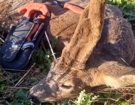 wta_2130_24632f03-c5b3-4011-99d7-7631f3973fa6