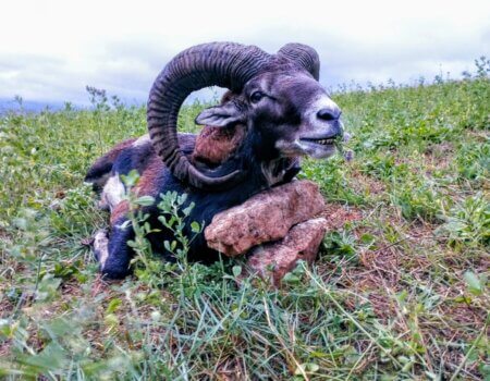 wta_2130_4e213b15-f4ec-45f1-9e26-1c3c4fc9013b