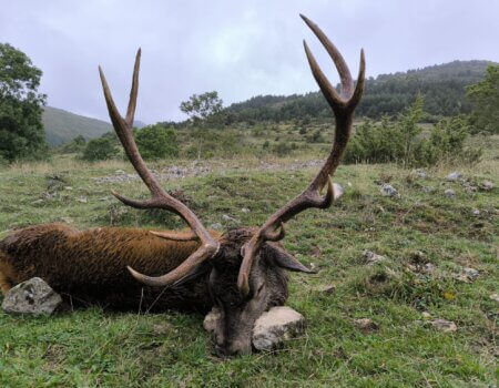 wta_2130_775391dc-73f1-486c-b382-773f402c108d