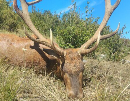 wta_2130_7cfceacc-0b10-4d11-a384-fec48bdd998d