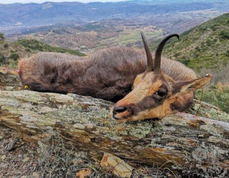 wta_2130_WhatsApp Image 2022-06-24 at 8.52.50 AM (1)