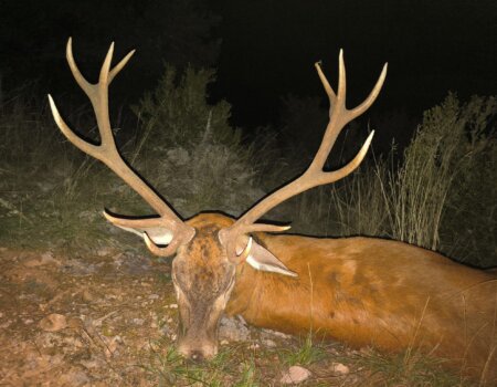 wta_2130_b9a8a7ba-5c96-4887-b6fa-228e99e1cbc5