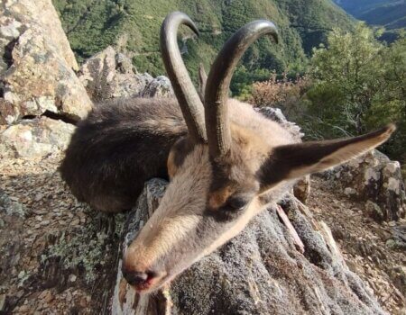 wta_2130_c1f45eca-5c76-487d-9718-06202a4dead3