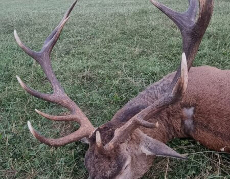 wta_2130_c9bab381-6d96-4cdf-8dcf-a82a2af8a6fb