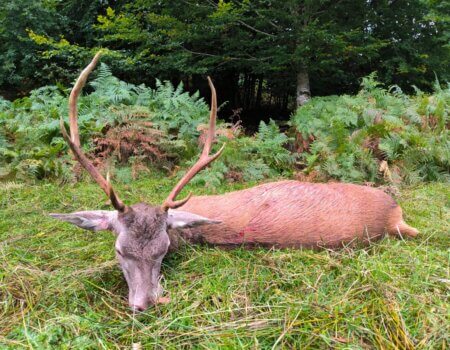 wta_2130_cf4e67eb-f8c5-4269-b752-892be01421fc