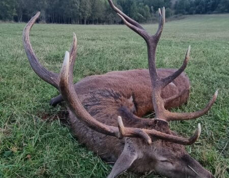 wta_2130_e6996e29-edb6-4368-aa74-3fb61fc60bc4