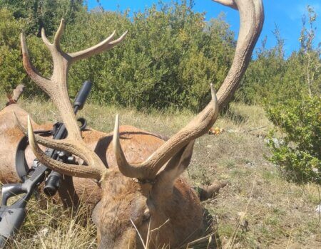 wta_2130_f0831f72-c750-4a54-9388-07b8628d74b4