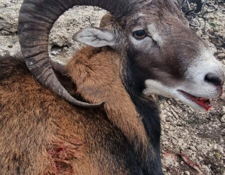 wta_2132_332fe873-f9dd-41e5-812e-283e324cc63f