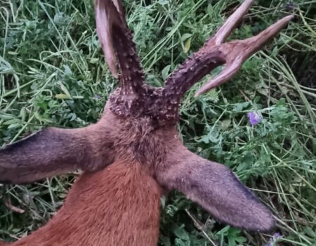 wta_2133_06da6fd1-d25b-41cb-be11-4d7ae48d23aa