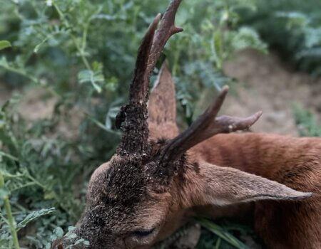 wta_2133_094935a9-5521-4d85-bb9c-1b53645c8d54