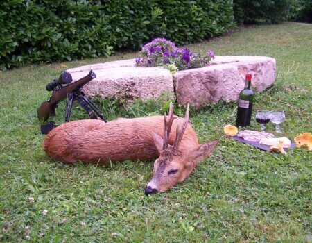 wta_2133_23d371cc-c953-4cb2-9786-3cce6e1fd77f