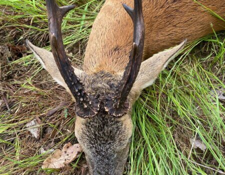 wta_2133_4440d919-545d-4104-8776-23c5c7f0acee