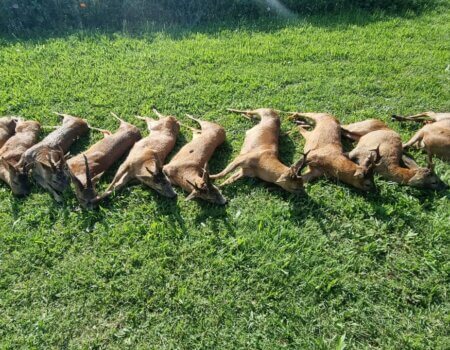 wta_2133_5e04166f-559d-4dfe-8d81-792df131e402