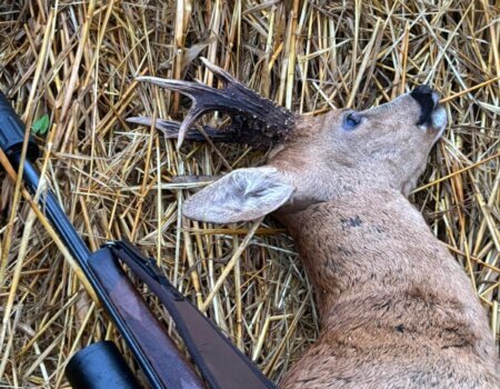 wta_2133_WhatsApp Image 2025-07-27 at 16.10.01 (2)