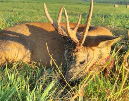 wta_2133_bca23869-45fd-420b-8afd-def7a1da6e21