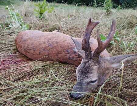 wta_2133_bda3061b-8981-44a6-a502-661b50696ae0