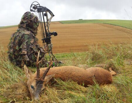 wta_2133_be561538-7703-4f9c-ab61-f048b792965e