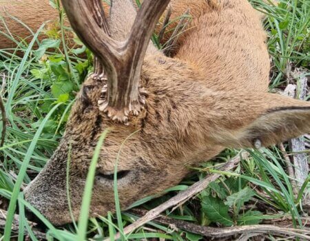 wta_2133_f04df396-b6f3-413f-8a12-8b2f3cf4dffd