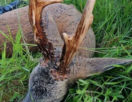 wta_2133_f1897614-fc21-4fca-9a7c-8890ab96876a