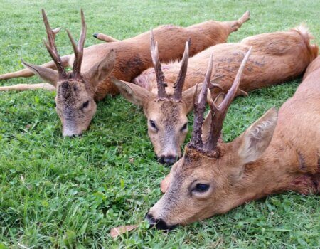 wta_2133_f48c6bbd-7069-4b76-86b4-2f9461030226