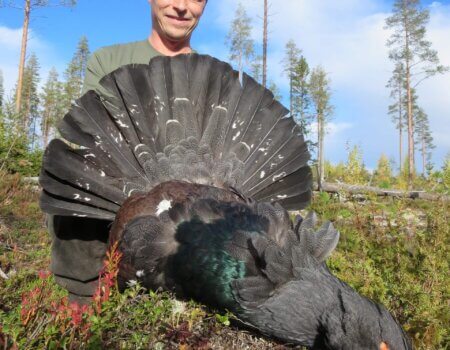 wta_2137_Capercaillie (6)
