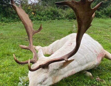 wta_2140_12dccf25-bf5a-4431-b36f-11eb53200912