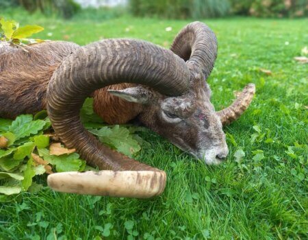 wta_2140_284f5825-0ffb-4f4b-9281-8efd6271dd19